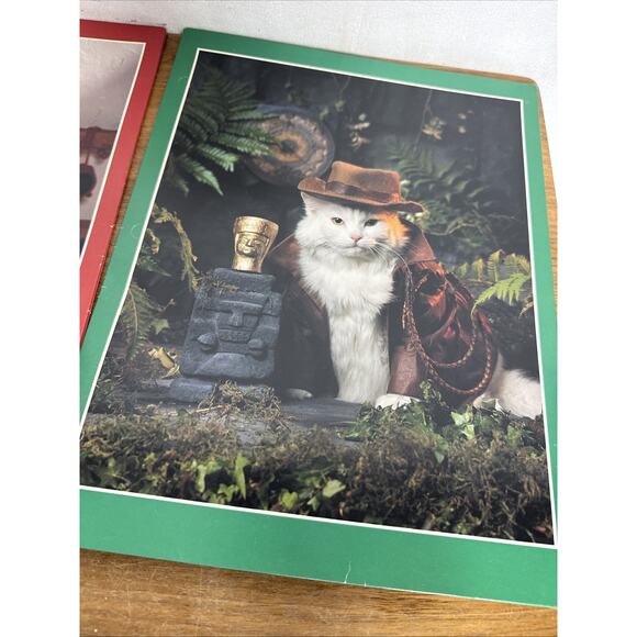 Vintage Stuart Hall Folder Lot Cats in School Unpunched Excellent Cond 1993 NOS - Picture 5 of 16